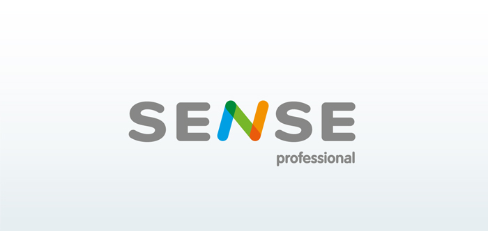 Разработка потребительского бренда «Sense»