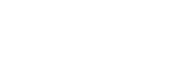 Разработка корпоративного бренда «Streloy»