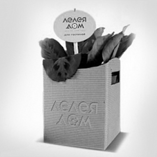 Брендинговое агентство Coruna | Разработка фирменного стиля компании за 2 месяца